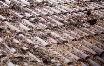 Harberton roof cleaning companies